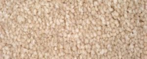 Carpet texture
