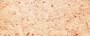 Cork background