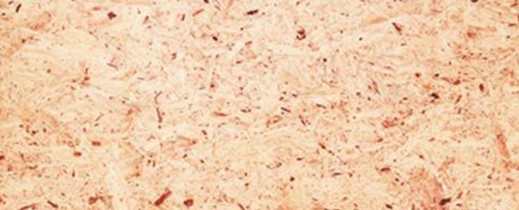 Cork background